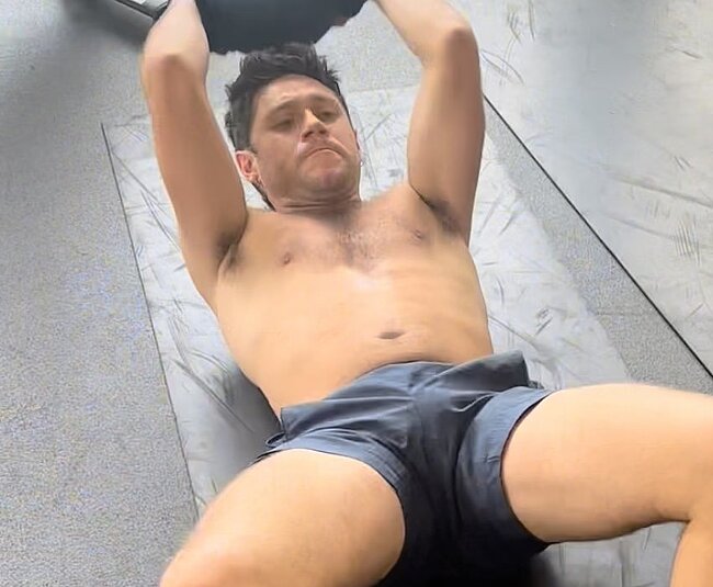 Niall Horan naked