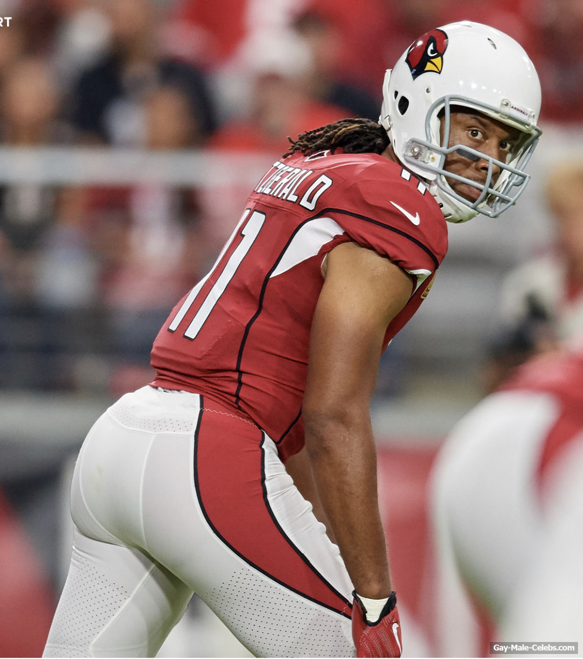 Larry Fitzgerald Nude And Bulge Photos