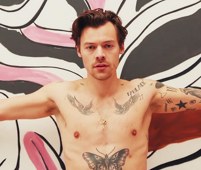 Harry Styles desnudo