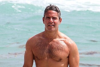 Andy Cohen shirtless sexy