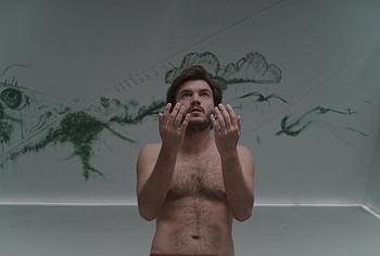 Emile Hirsch nudes