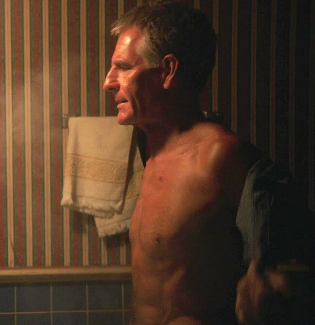 Scott Bakula Shirtless