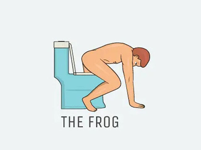 the frog