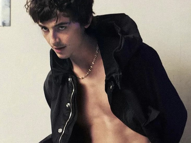 Timothee Chalamet abs