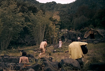 Felix Kammerer naked