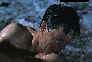 Mark Wahlberg Shirtless in Play Dirty