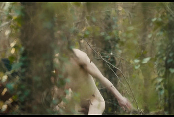 Will Tudor nude in Bonobo