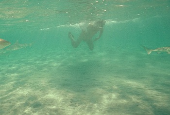 Billy Zane nude in Waltzing With Brando