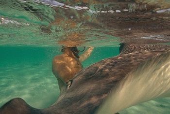Billy Zane nude in Waltzing With Brando