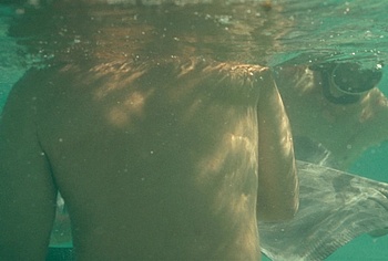 Billy Zane nude in Waltzing With Brando