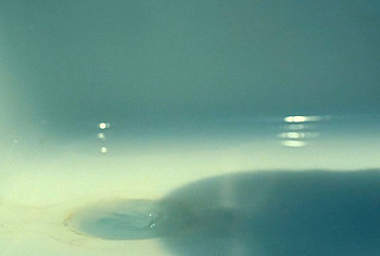 Barry Keoghan nude in Saltburn