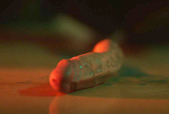 Nolan Gerard Funk nude scenes