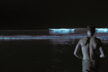 Christopher Lamm nude in Palm Royale