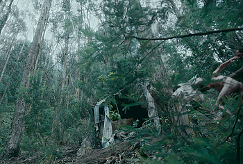 Jose Restrepo nude in Fugue State 1986