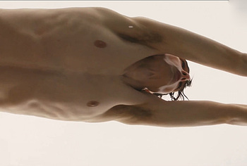 Finn Wolfhard nude in Hell Of A Summer