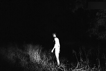 Escenas de Nate Krimmel Desnudo Frontal Sin Censura en Obex