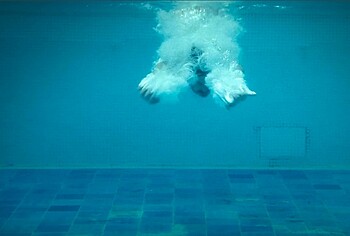 Fotos Desnudas de Andrea Montovoli Desde Motorvalley