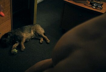 Jeremy Lindsay Taylor Nude And Sex Scenes in Audrey