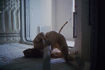 Ryan Gosling Sexy Underwear Ass Scenes in Project Hail Mary