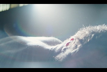 Cosmo Jarvis Nude And Sexy in Shogun