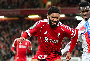 Joe Gomez Cock Bulge And Underwear Photos