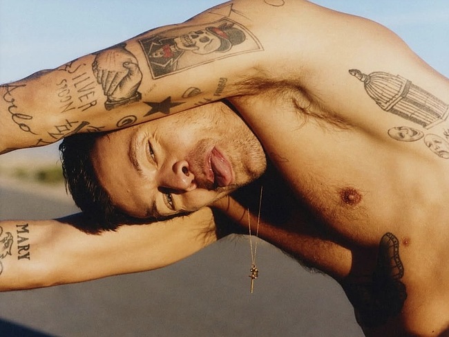 Harry Styles nude