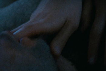 Hal Baum Frontal Nude and Gay Sex Scenes in Anything That Moves