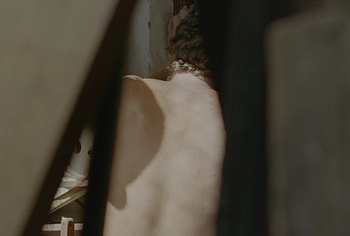 Francisco Celhay Frontal Nude Uncensored Scenes in In The Grayscale