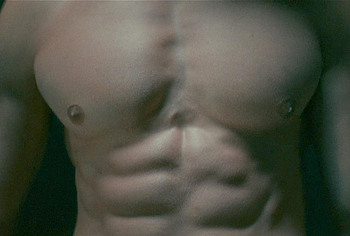 Lucas Barski Nude and Sex Scenes in You me Against The World