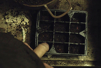 Martin McCann Big Cock and Jerk Off Scenes in The Survivalist