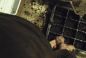 Martin McCann Big Cock and Jerk Off Scenes in The Survivalist
