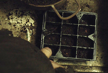 Martin McCann Big Cock and Jerk Off Scenes in The Survivalist